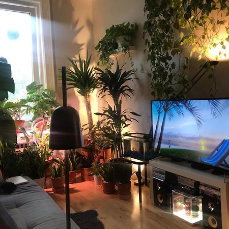 Urban Jungle Oasis In Queens! Daire New York Dış mekan fotoğraf