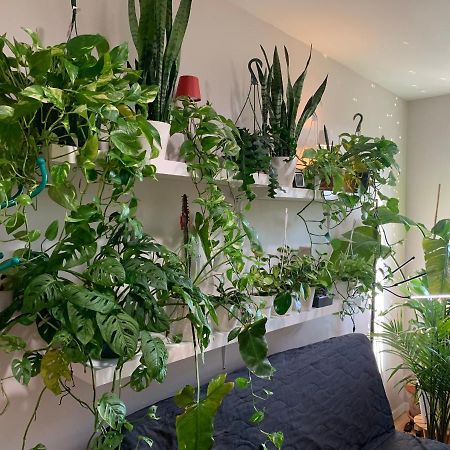 Urban Jungle Oasis In Queens! Daire New York Dış mekan fotoğraf