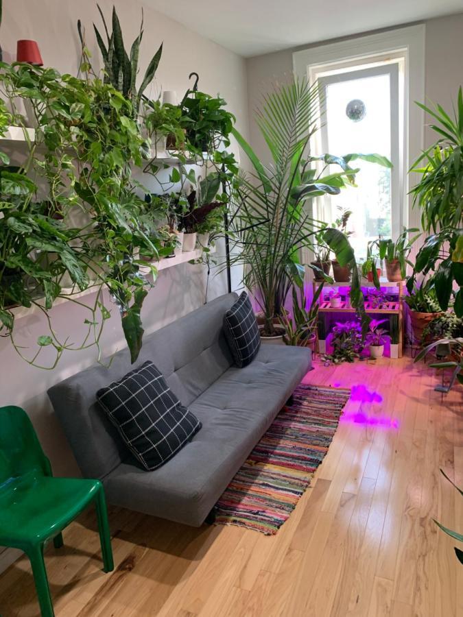Urban Jungle Oasis In Queens! Daire New York Dış mekan fotoğraf