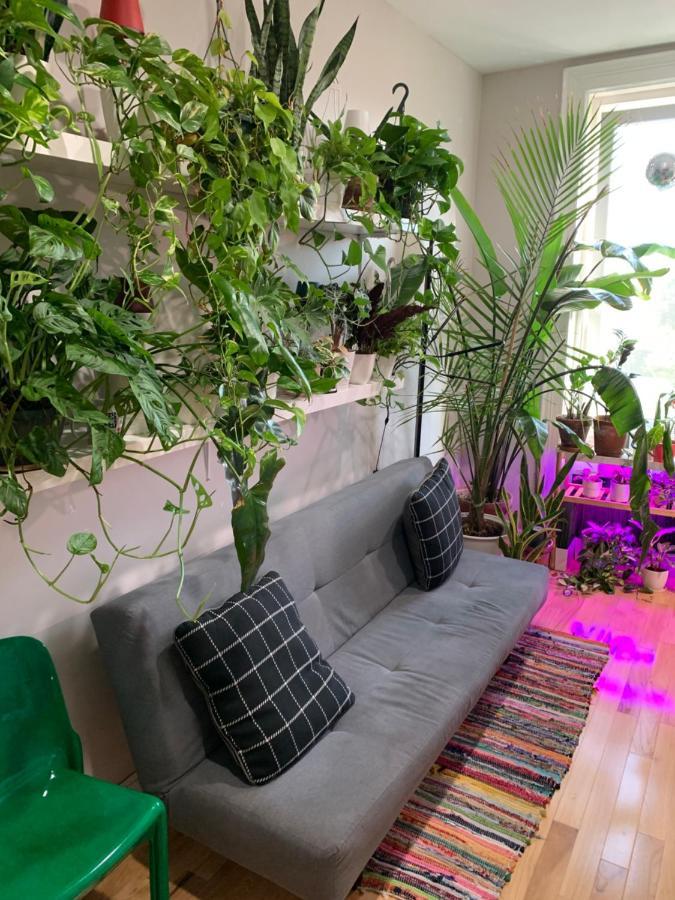 Urban Jungle Oasis In Queens! Daire New York Dış mekan fotoğraf