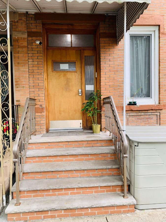 Urban Jungle Oasis In Queens! Daire New York Dış mekan fotoğraf