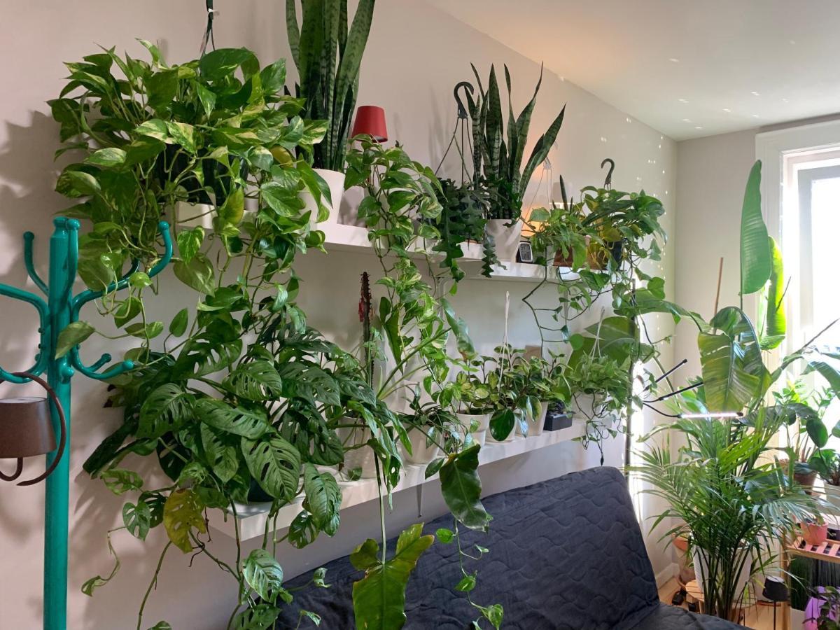 Urban Jungle Oasis In Queens! Daire New York Dış mekan fotoğraf