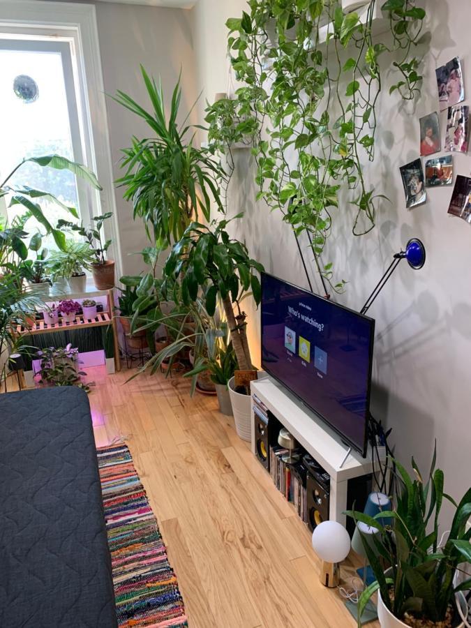 Urban Jungle Oasis In Queens! Daire New York Dış mekan fotoğraf